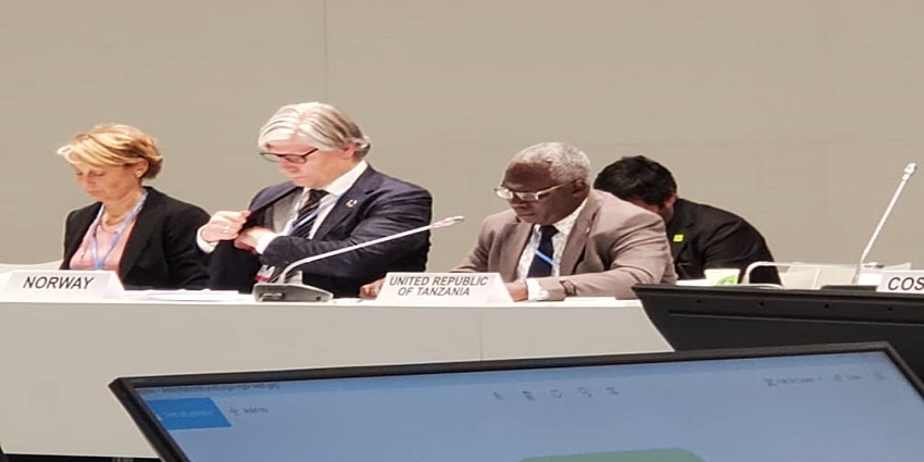 Climate change photos 2019