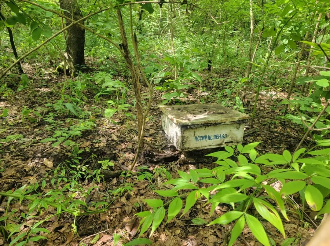 MRADI WA KIHANSI MKOMBOZI WA MAZINGIRA KWA WANANCHI WA MLIMBA