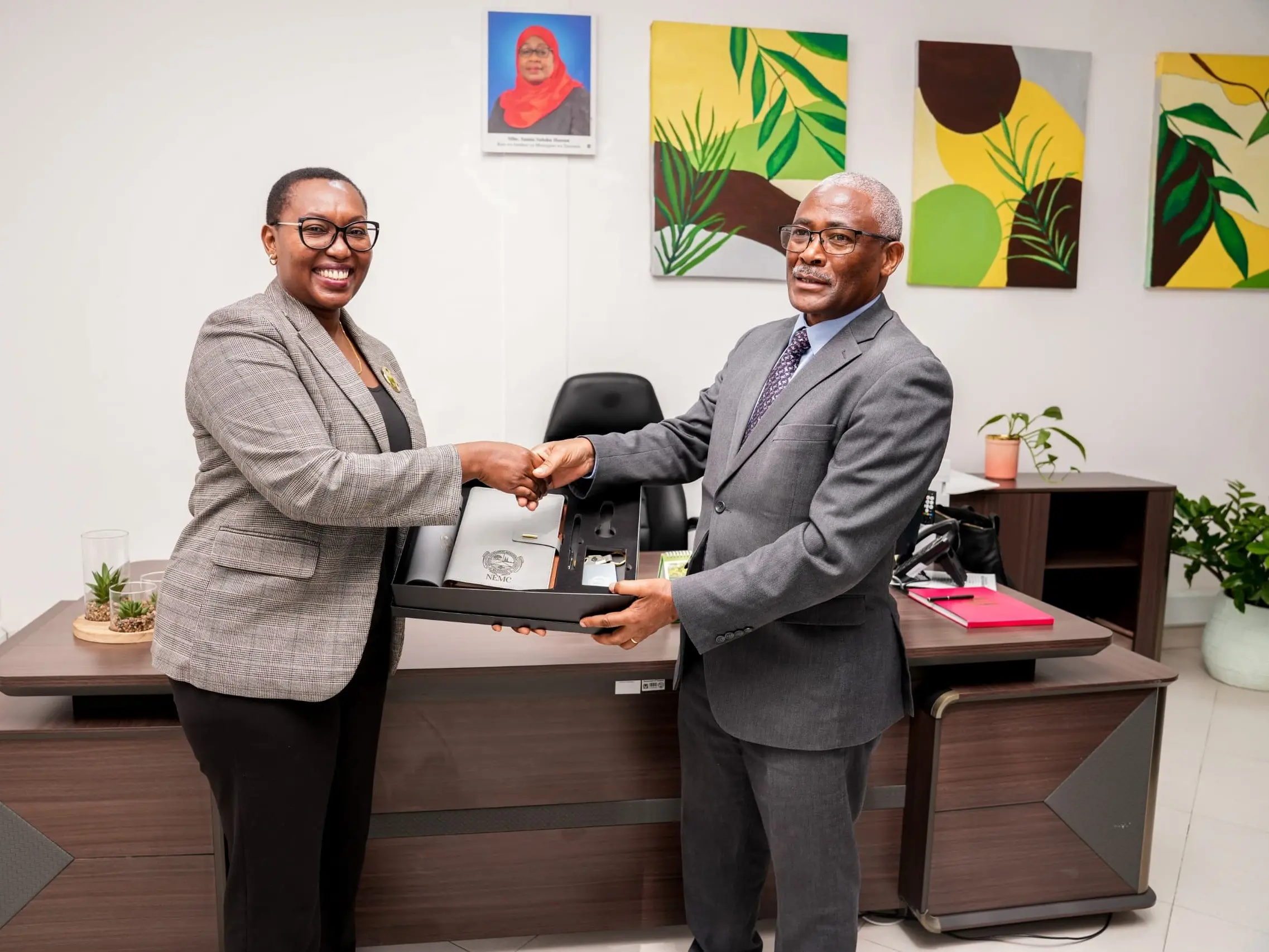 PROFESA MSOFE ARIDHISHWA NA UTENDAJI KAZI WA NEMC