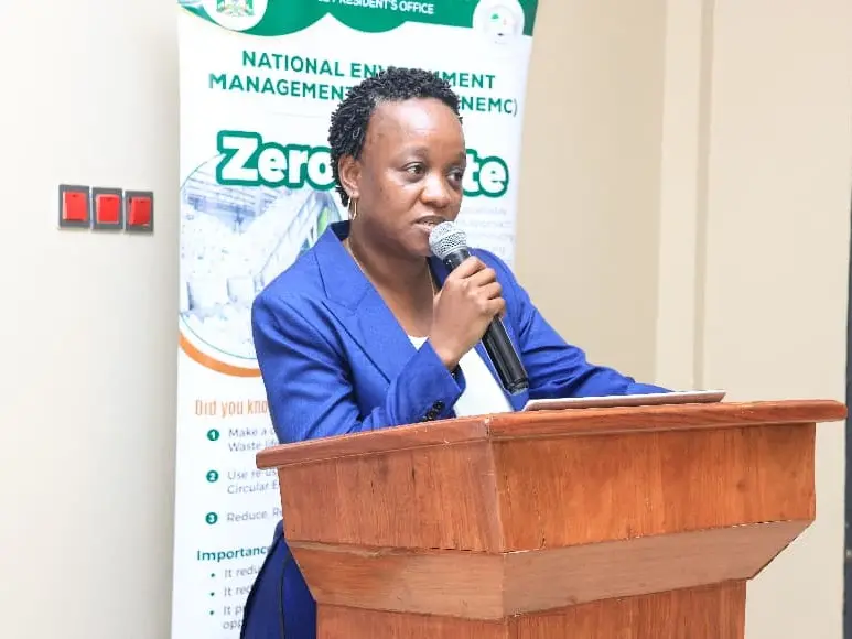 NEMC YAZITAKA TAASISI ZA UMMA KUTEKELEZA KWA UFANISI SHERIA YA USIMAMIZI WA MAZINGIRA