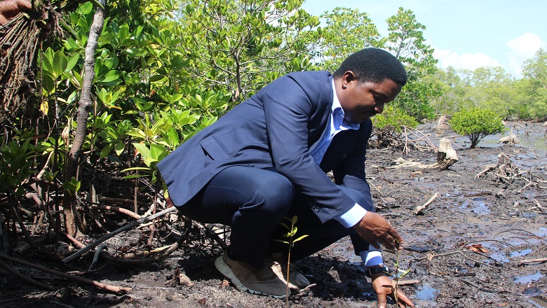 HALMASHAURI ZILIZOPO UKANDA WA PWANI ZIPANDE MITI YA MIKOKO- WAZIRI JAFO. cover image