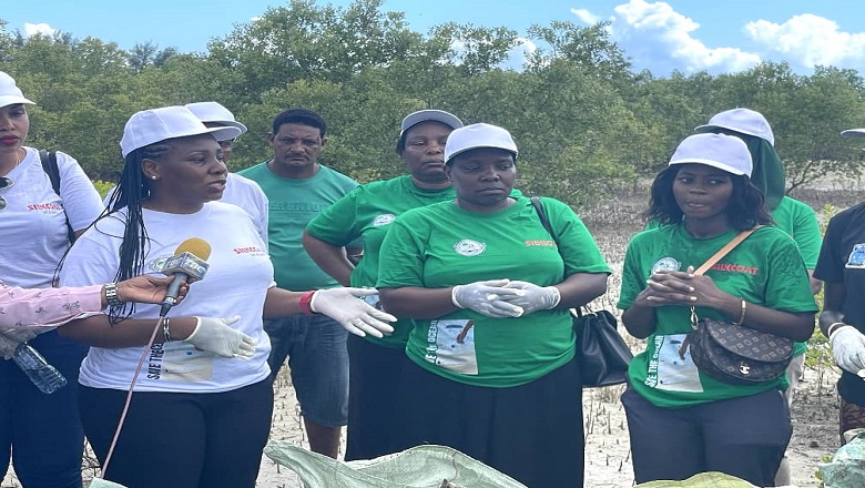 ​TANI 2 ZA TAKA ZA MAJUMBANI ZAKUSANYWA NA WANAWAKE WA NEMC ENEO LA MIKOKO KIGAMBONI. cover image