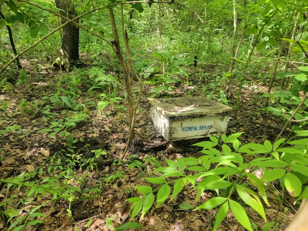 MRADI WA KIHANSI MKOMBOZI WA MAZINGIRA KWA WANANCHI WA MLIMBA