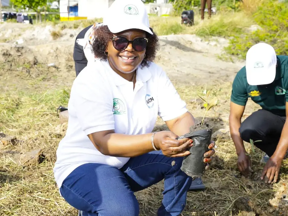 NEMC NA KINONDONI WAADHIMISHA SIKU YA MIKOKO DUNIANI KWA KUPANDA MICHE 1000