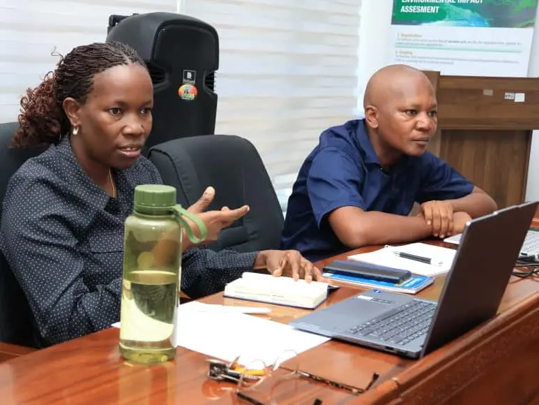 NEMC YAKUTANA NA WADAU KUTOKA BENKI YA DUNIA KUJADILI FURSA ZILIZOPO KWENYE SHUGHULI ZA UCHIMBAJI MADINI